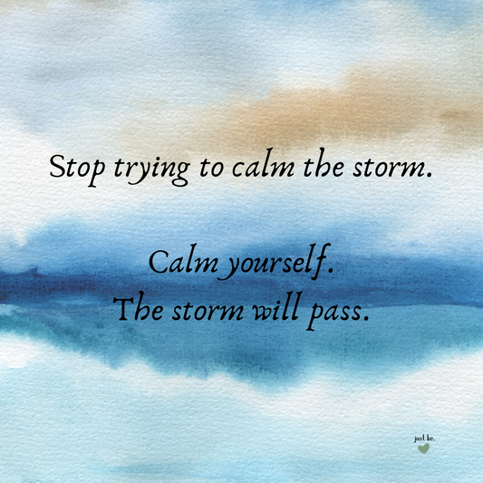 Watercolor design with soft blue and tan tones featuring the quote "Stop trying to calm the storm. Calm yourself. The storm will pass."