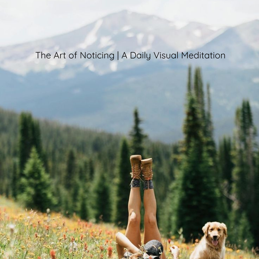 The Art of Noticing - A Daily Visual Meditation | July 25, 2026
