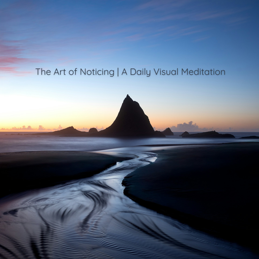 The Art of Noticing - A Daily Visual Meditation | July 26, 2026