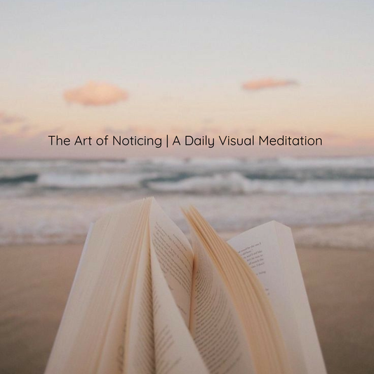 The Art of Noticing - A Daily Visual Meditation | July 27, 2026