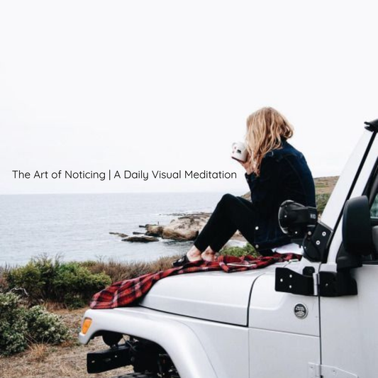 The Art of Noticing - A Daily Visual Meditation | July 30, 2026