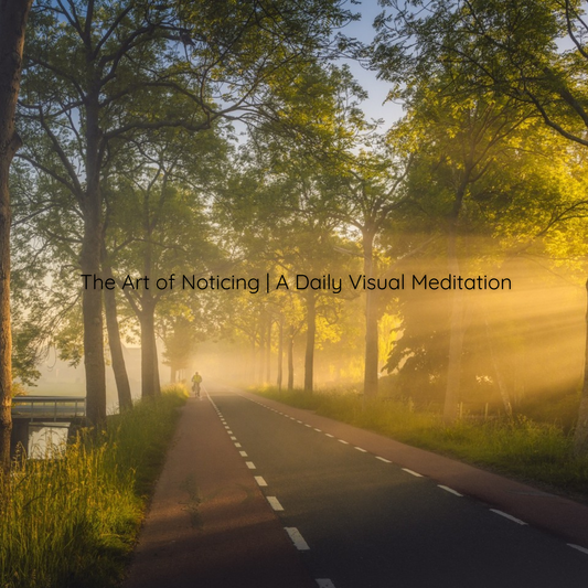 The Art of Noticing - A Daily Visual Meditation | August 11, 2026
