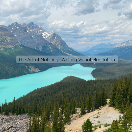 The Art of Noticing - A Daily Visual Meditation | August 3, 2026