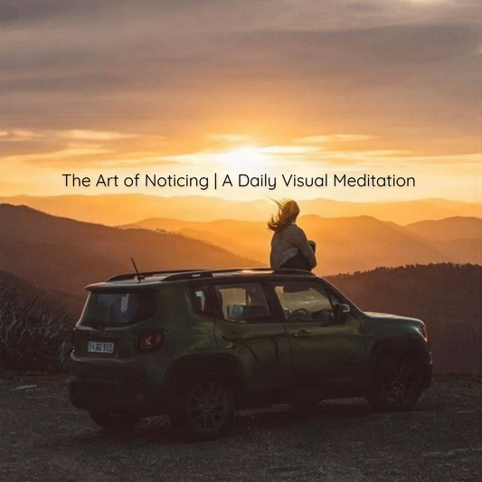 The Art of Noticing - A Daily Visual Meditation | August 6, 2026