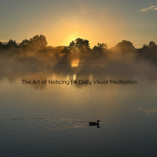 The Art of Noticing - A Daily Visual Meditation | August 7, 2026
