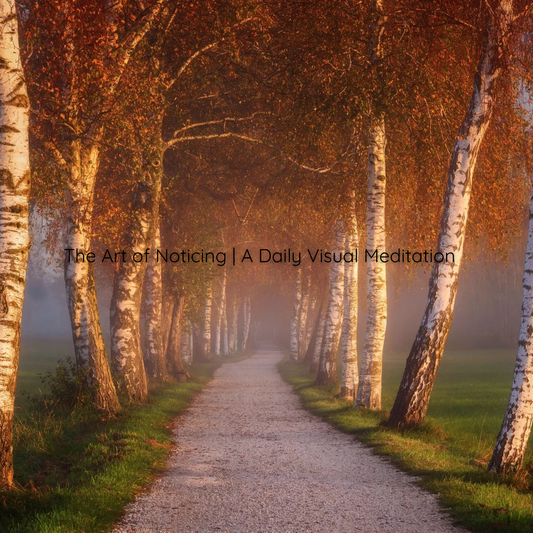 The Art of Noticing - A Daily Visual Meditation | August 8, 2026