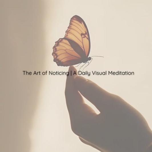 The Art of Noticing - A Daily Visual Meditation | August 9, 2026