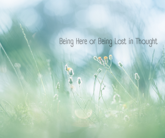 Being Here or Being Lost in Thought