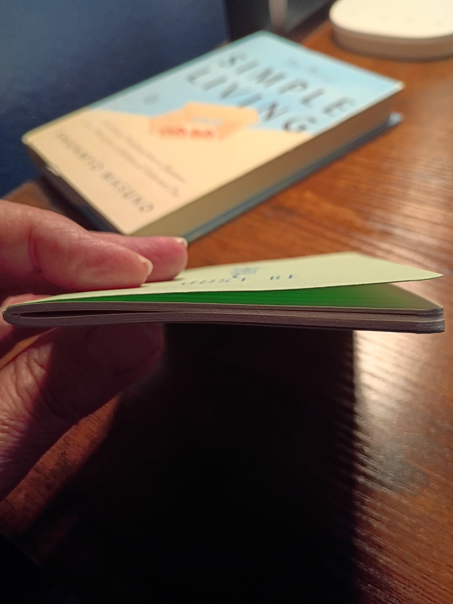 Minimalist Flower - Just Be Pocket Notebook w/Pen - Sage Green