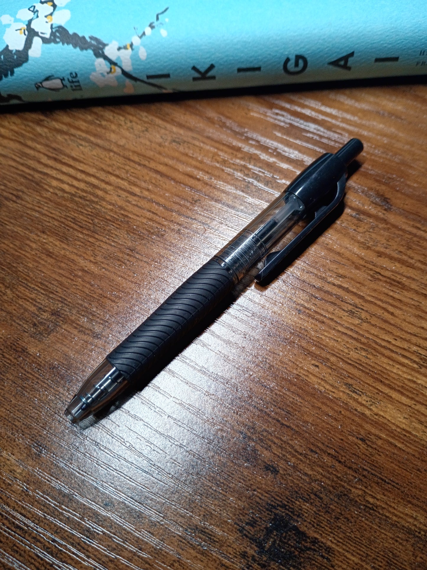 Upcycled Notebook, Winter Flowers, Lined Pages, Mini Pen