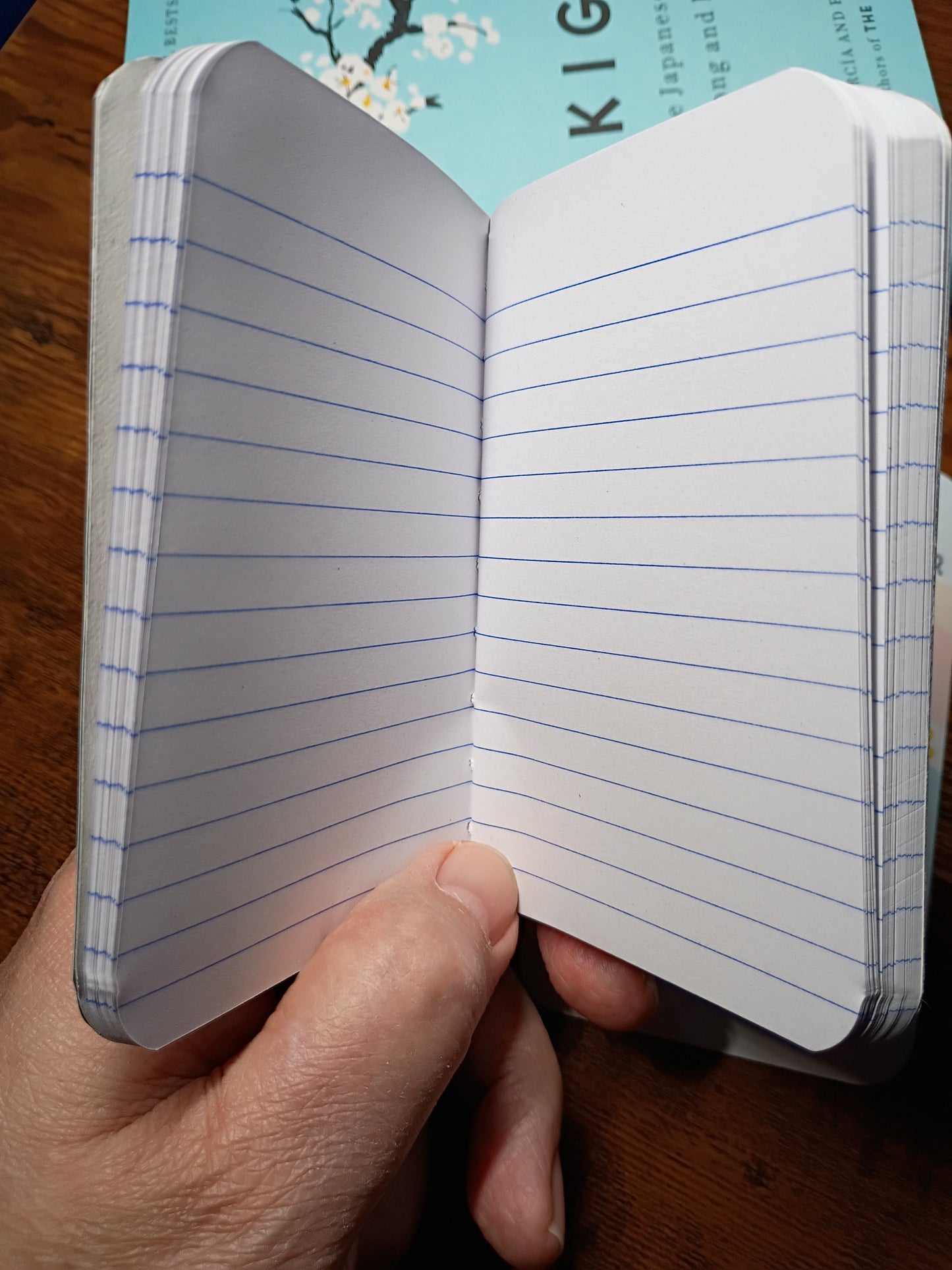 Upcycled Notebook, Winter Flowers, Lined Pages, Mini Pen